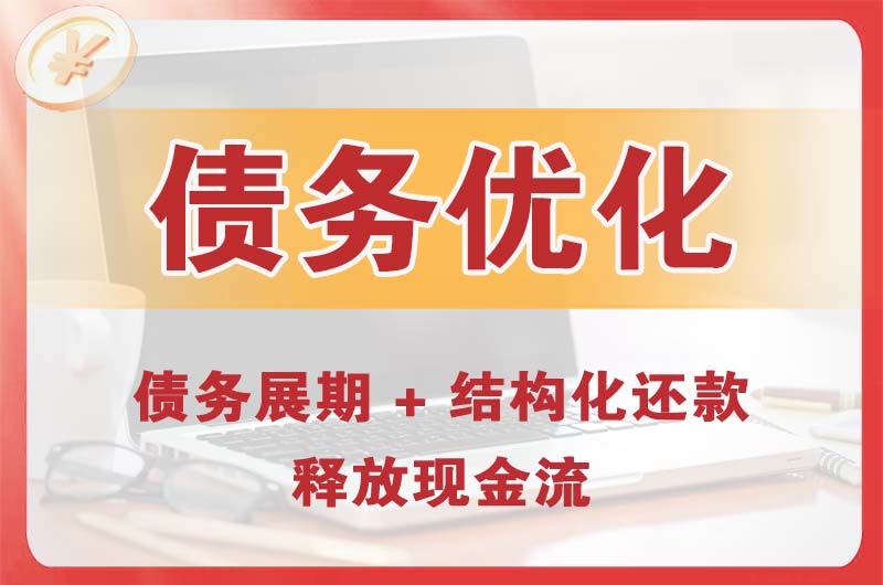廉江债务优化